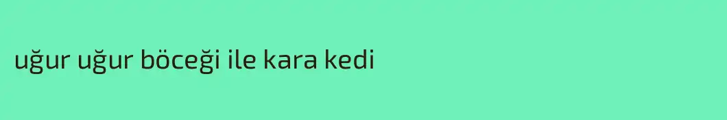 uğur uğur böceği ile kara kedi